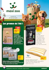 Promos Croquettes chat dans le catalogue "Les promos de l'été !" de Maxi Zoo à la page 1