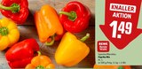 Paprika Mix Angebote von REWE Beste Wahl bei REWE Wilhelmshaven für 1,49 €