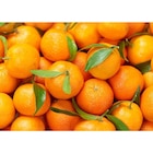 Promo Mandarine à 2,99 € dans le catalogue Carrefour Market à Bergerac