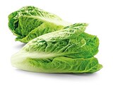 Aktuelles Bio Romana Salatherzen Angebot bei REWE in Siegen (Universitätsstadt) ab 1,49 €