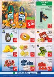 Aktueller Marktkauf Prospekt mit Erdbeeren, "AUSWAHL RIESIG, PREISE NIEDRIG", Seite 6