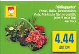 Aktuelles Frühlingsgarten Primel, Bellis, Zwiebelblüher, Viola Angebot bei diska in Chemnitz ab 4,44 €