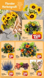 Aktueller REWE Prospekt mit Farbe, "Dein Markt", Seite 9