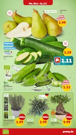 Zucchini im Penny Prospekt in Berlin Aktueller Penny Prospekt mit Zucchini, "Wer günstig will, muss Penny.", Seite 3