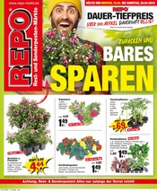 Aktueller Repo Sonderposten Prospekt in Bernburg und Umgebung, "Aktuelle Angebote" mit 12 Seiten, 15.04.2024 - 20.04.2024