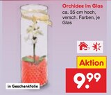 Orchidee im Glas Angebote bei Netto Marken-Discount Bielefeld für 9,99 €
