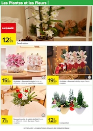 Prix et réduction Orchidée dans le prospectus Carrefour en cours Offre Orchidée dans le catalogue Carrefour du moment à la page 18