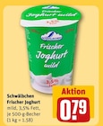 Aktuelles Frischer Joghurt Angebot bei REWE in Mainz ab 0,79 €