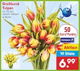 Großbund Tulpen Angebote bei Netto Marken-Discount Cottbus für 6,99 €