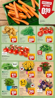 Tomaten im REWE Prospekt "Dein Markt" mit 28 Seiten (Köln)