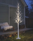 ARBRE LUMINEUX LED - BELAVI à 19,99 € dans le catalogue Aldi