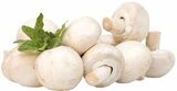 Deutschland Champignons "weiß" bei E center im Schüttorf Prospekt für 1,49 €