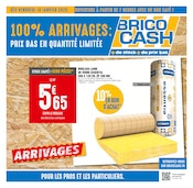 Catalogue Bricolage Brico Cash en cours à Les Thilliers-en-Vexin et alentours, "100% ARRIVAGES : PRIX BAS EN QUANTITÉ LIMITÉE", 8 pages, 10/01/2025 - 23/01/2025