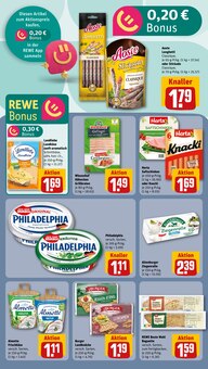 Wurst im REWE Prospekt "Dein Markt" mit 30 Seiten (Karlsruhe)
