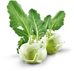 Aktuelles Kohlrabi Angebot bei Netto Marken-Discount in Duisburg ab 0,59 €