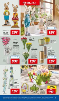 Blumen im Lidl Prospekt "LIDL LOHNT SICH" mit 60 Seiten (Augsburg)