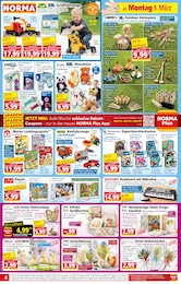 Steine Angebot im aktuellen Norma Prospekt auf Seite 4