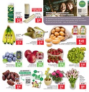 Kartoffeln im Marktkauf Prospekt in Böblingen Aktueller Marktkauf Prospekt mit Kartoffeln, "Aktuelle Angebote", Seite 9