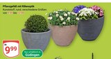 Aktuelles Pflanzgefäß mit Rillenoptik Angebot bei GLOBUS in Saarbrücken ab 9,99 €