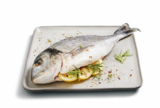 Aktuelles ASC Dorade Royal Angebot bei Lidl in Bremen ab 5,99 €