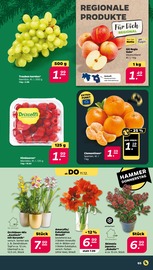 Gala Angebote im Prospekt "Günstig. Besser. Für Dich." von Netto mit dem Scottie auf Seite 3