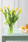 Bouquet de 9 tulipes de glace - U en promo chez U Express Limoges à 5,99 €