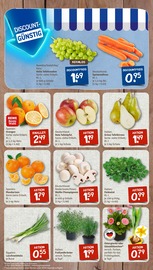 Aktueller nahkauf Prospekt mit Tierfutter, "nichts liegt näher", Seite 3