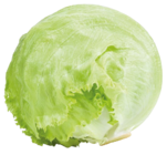 Eisbergsalat im Angebot bei REWE in Bergheim Eisbergsalat Angebote bei REWE Bergheim für 0,99 €