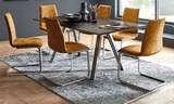 Schwingstuhl oder Esstisch im Angebot bei Opti-Wohnwelt in Fulda Schwingstuhl oder Esstisch Angebote bei Opti-Wohnwelt Fulda für 259,00 €