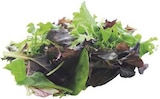 combi Esens - Pflücksalat Angebot im Prospekt Pflücksalat bei combi im Esens Prospekt für 0,88 €