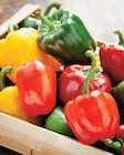 Promo Poivron tricolore à 1,28 € dans le catalogue Intermarché Hyper à Ambérieu-en-Bugey