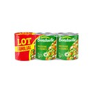 Macédoine de légumes "Lot Familial" - BONDUELLE dans le catalogue Carrefour