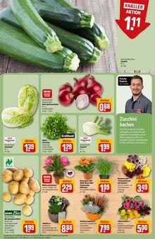 Pflanzen im aktuellen REWE Prospekt (Mönchengladbach) Pflanzen im REWE Prospekt "Dein Markt" mit 30 Seiten (Mönchengladbach)
