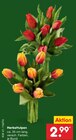 Aktuelles Herbsttulpen Angebot bei Netto Marken-Discount in Hamburg ab 2,99 €