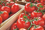 Promo Tomate ronde en grappe à 1,25 € dans le catalogue Netto à Rotheneuf