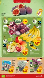 Bananen Angebot & Preis im aktuellen Penny-Markt Prospekt Bananen Angebot im aktuellen Penny-Markt Prospekt auf Seite 5