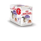 Bouchées en sauce Royal Canin® en promo chez Gamm vert Créteil à 12,99 €