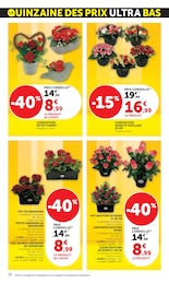 Offre Fleurs d'extérieur dans le catalogue Super U du moment à la page 32