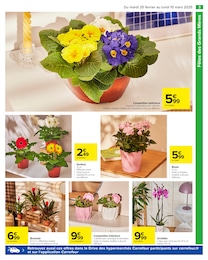 Offre Fleur En Pot dans le catalogue Carrefour du moment à la page 5