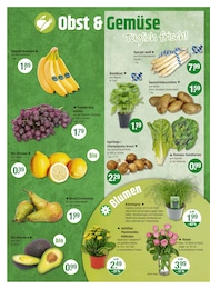 Gemüse im V-Markt Prospekt "V-Markt einfach besser einkaufen" auf Seite 4