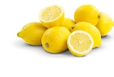 Zitronen im Penny-Markt Prospekt Zitronen von im aktuellen Penny-Markt Prospekt für 0,79 €