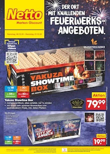 Gasgrill im Netto Marken-Discount Prospekt "Aktuelle Angebote" mit 50 Seiten (Hagen (Stadt der FernUniversität))