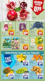 REWE Tierbedarf im Prospekt REWE Tierbedarf im Prospekt