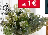 Kunstpflanzen von  im aktuellen Woolworth Prospekt für 1,00 €