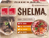 Multipack im Angebot bei Netto Marken-Discount in Ravensburg Multipack Angebote von Shelma bei Netto Marken-Discount Ravensburg für 5,25 €