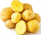 Speisekartoffeln von GO Regio für 2,19 € bei Netto mit dem Scottie im Angebot Speisekartoffeln von GO Regio im aktuellen Netto mit dem Scottie Prospekt