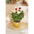 Rosier dans le catalogue Carrefour Market