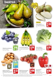 Ähnliche Spargel Angebote im Prospekt "Aktuelle Angebote" von EDEKA in Tübingen Ähnliche Angebote wie Spargel im Prospekt "Aktuelle Angebote" auf Seite 4 von EDEKA in Tübingen