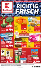 Kaufland Prospekt: "Aktuelle Angebote", 70 Seiten, 26.02.2026 - 04.03.2026