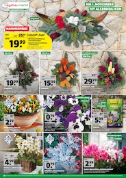 Balkonpflanzen Angebot im aktuellen Hagebaumarkt Prospekt auf Seite 10